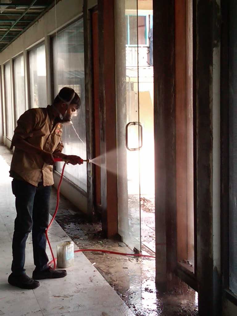 timber treatment rayap