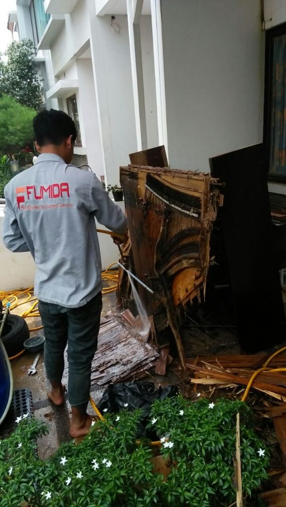 anti-rayap-denpasar-577x1024.jpg