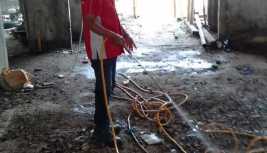 basmi jasa jakarta rayap Di Tebet Rayap   Anti Jakarta FUMIDA Jasa Selatan
