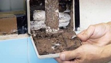 rayap jasa kering kayu pembasmi Cara FUMIDA Rayap Membasmi