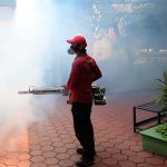 Jasa Fogging Nyamuk DBD di Bandung | 0822-1146-1146