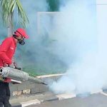 Jasa Fogging Nyamuk Yogyakarta | Jogja