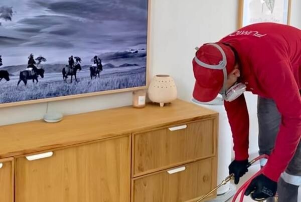 Jasa anti rayap Madiun