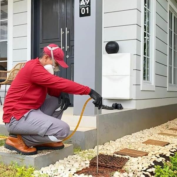 Jasa anti rayap Probolinggo