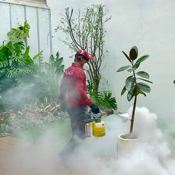 jasa Anti Rayap Purworejo