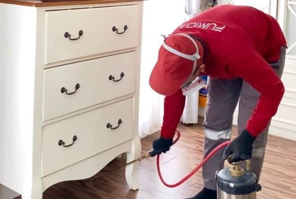 jasa anti rayap Lamongan