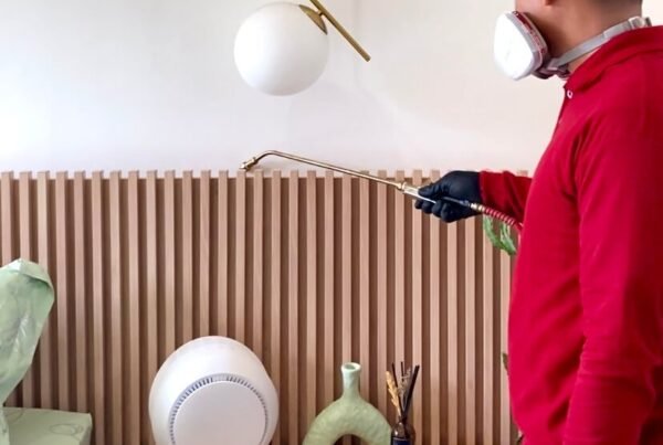 jasa anti rayap Surabaya