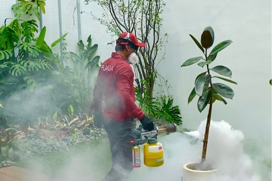 Jasa Anti Rayap Subang