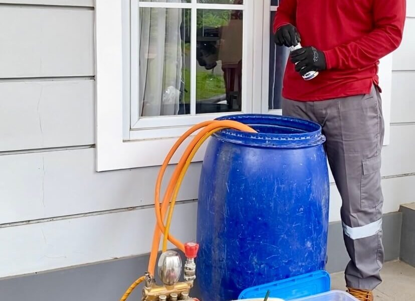 Jasa Anti Rayap Kabupaten Serang