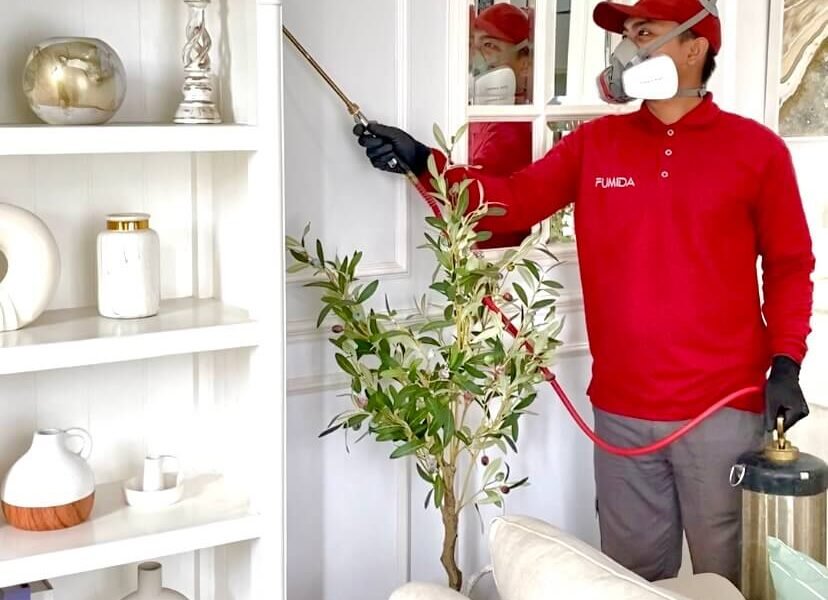 Jasa Anti Rayap Tangerang Selatan