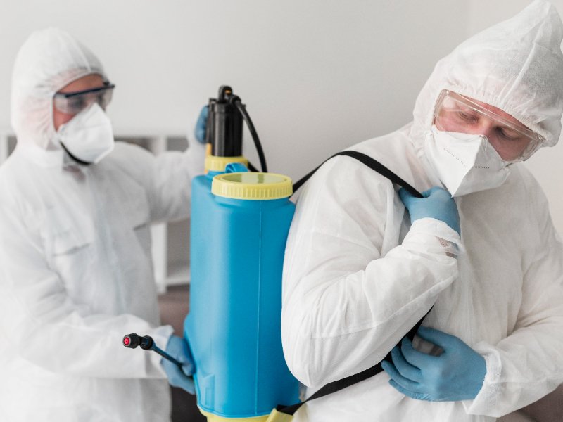 Harga Jasa Anti Rayap Cilegon