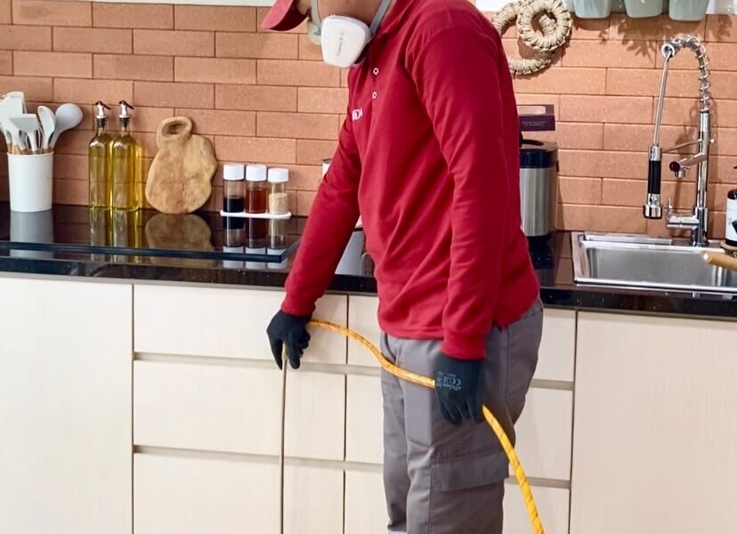 Harga Jasa Anti Rayap Gunungkidul