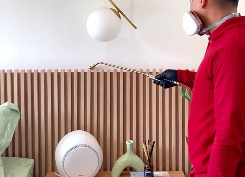 Harga Jasa Anti Rayap Jombang