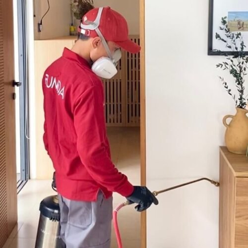 Harga Jasa Anti Rayap Kepulauan Seribu