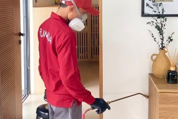 Harga Jasa Anti Rayap Kepulauan Seribu