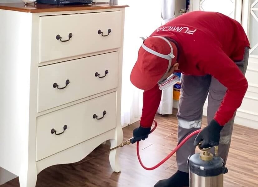 Harga Jasa Anti Rayap Kulon Progo