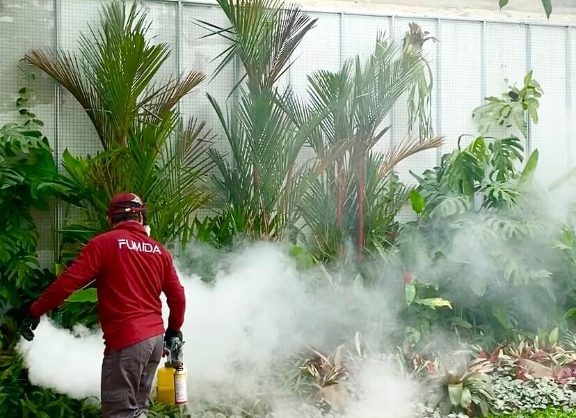 Harga Jasa Anti Rayap Kuningan