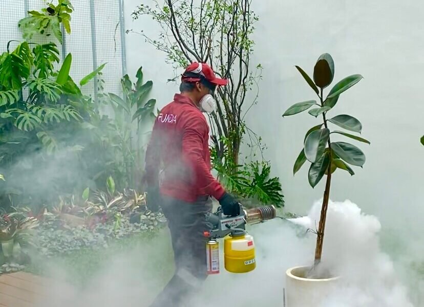 Harga Jasa Anti Rayap Ngawi