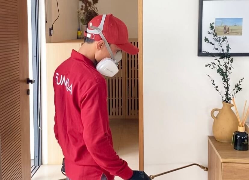 Harga Jasa Anti Rayap Pangandaran