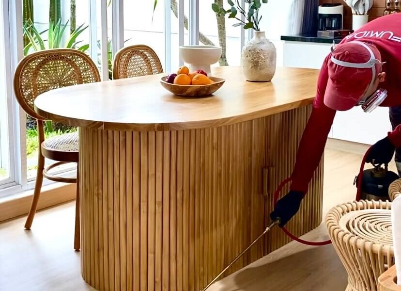 Harga Jasa Anti Rayap Pasuruan