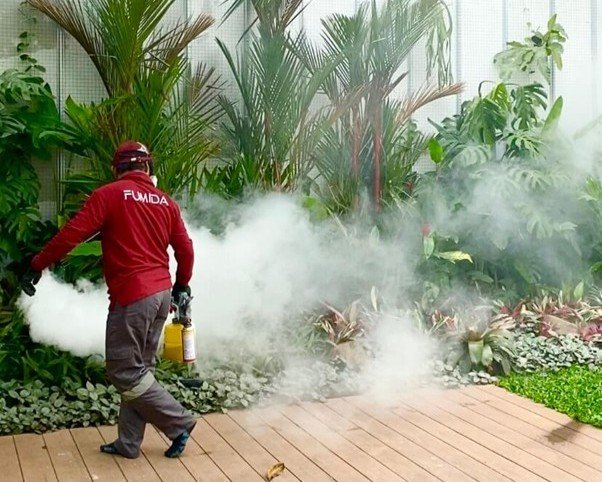 Harga Jasa Anti Rayap Rembang