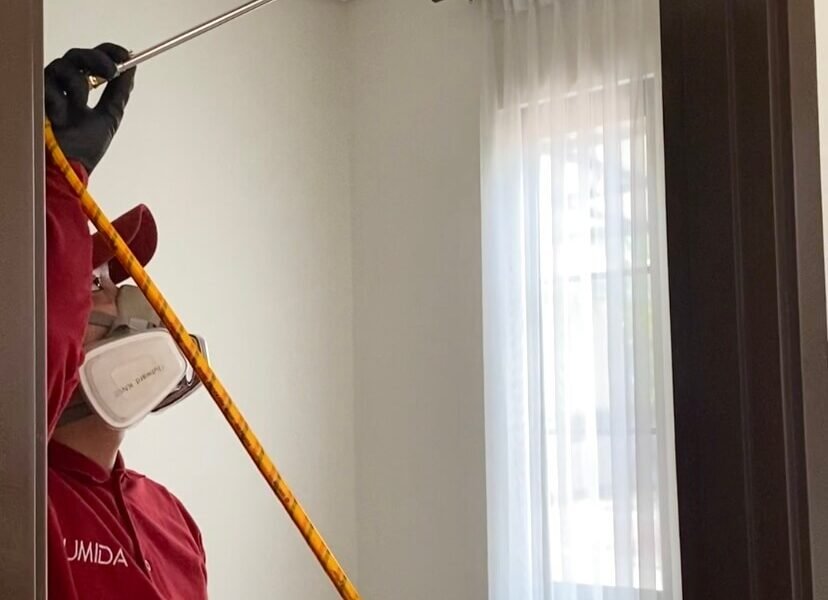 Harga Jasa Anti Rayap Sidoarjo