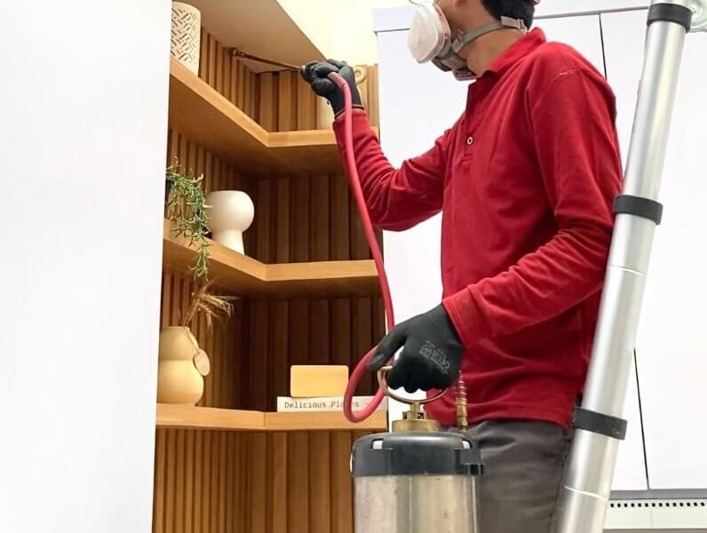 Harga Jasa Anti Rayap Sumedang