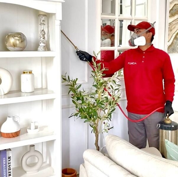 Harga Jasa Anti Rayap Tasikmalaya