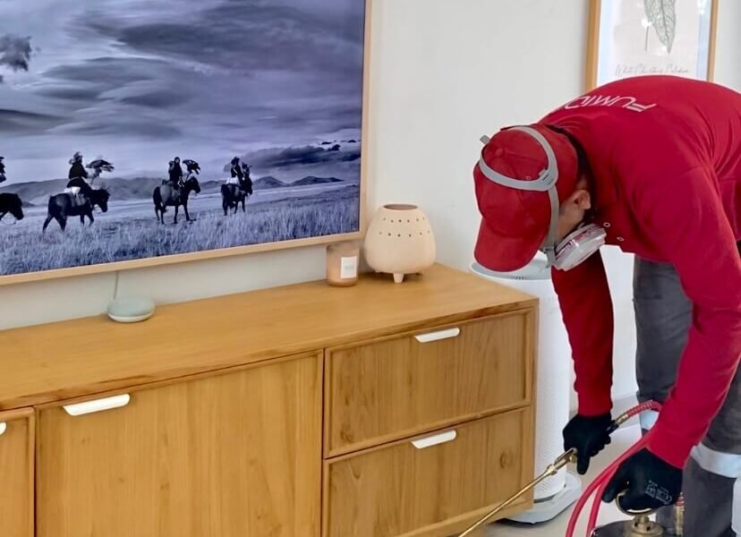 Harga jasa anti rayap Tulungagung