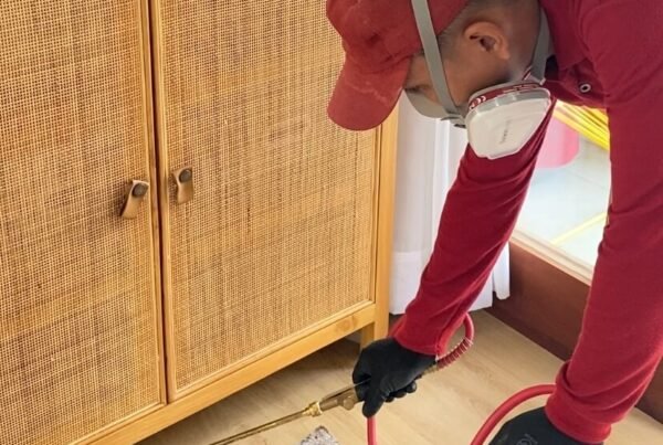 Harga Jasa Anti Rayap Purworejo