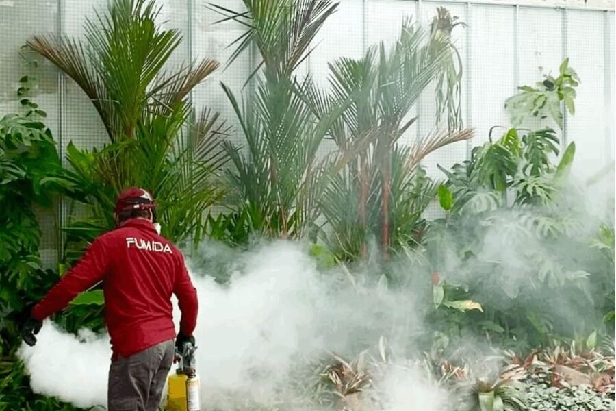 Paling Murah | Harga Jasa Anti Rayap salatiga