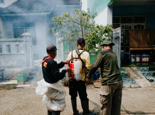 harga jasa anti rayap kuningan