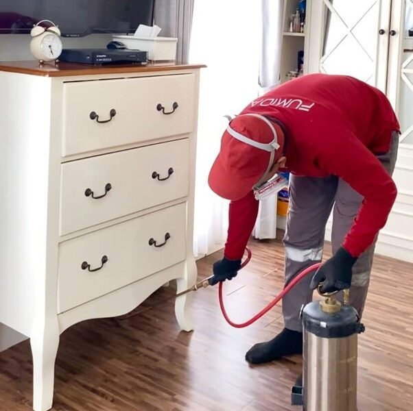 Harga Jasa Anti Rayap Bandung