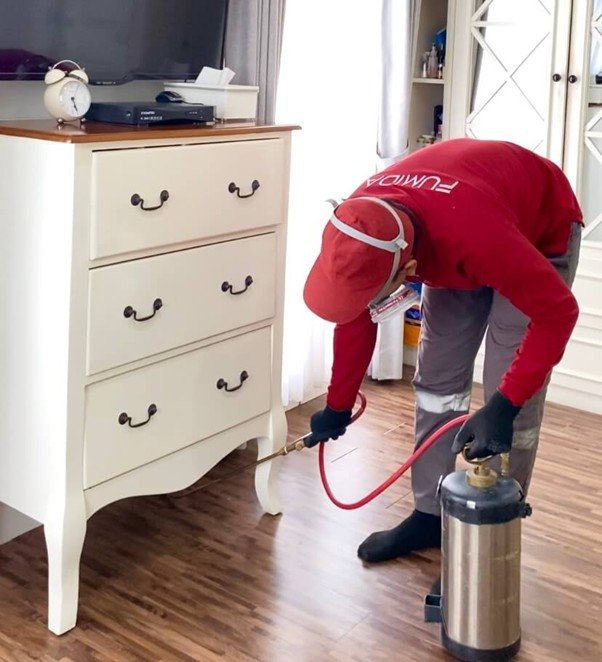 Harga Jasa Anti Rayap Bandung