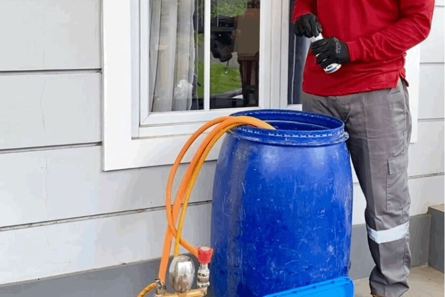 Harga Jasa Anti Rayap Banyuwangi