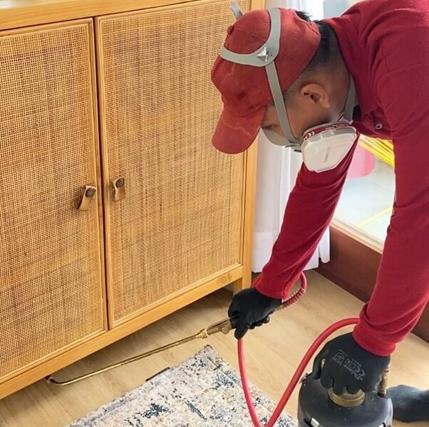 Harga Jasa Anti Rayap Bekasi