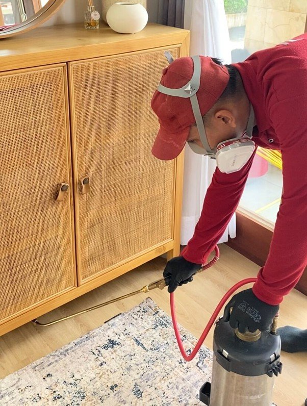 Harga Jasa Anti Rayap Bekasi