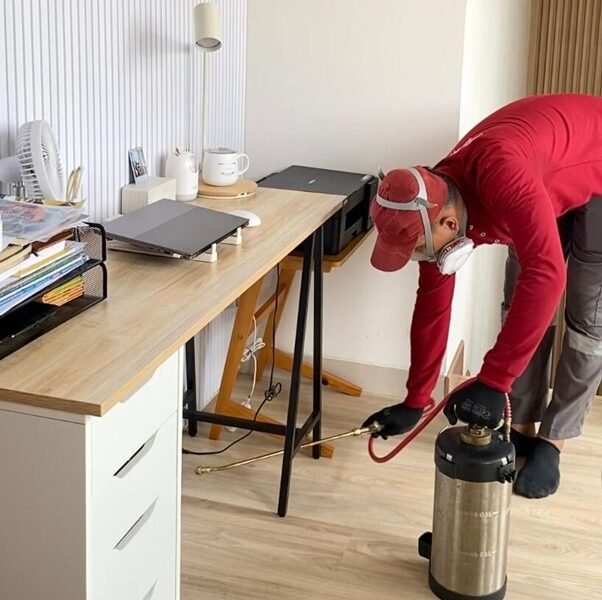 Harga Jasa Anti Rayap Bogor