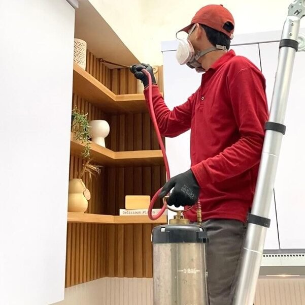 Harga Jasa Anti Rayap Cimahi