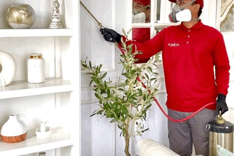 Harga Jasa Anti Rayap Jepara