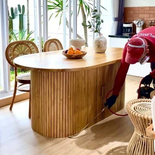 Harga Jasa Anti Rayap Kota Bogor