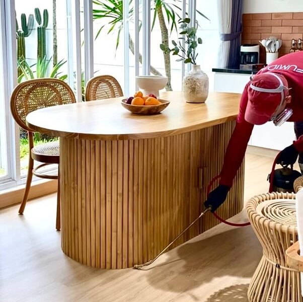 Harga Jasa Anti Rayap Kota Bogor