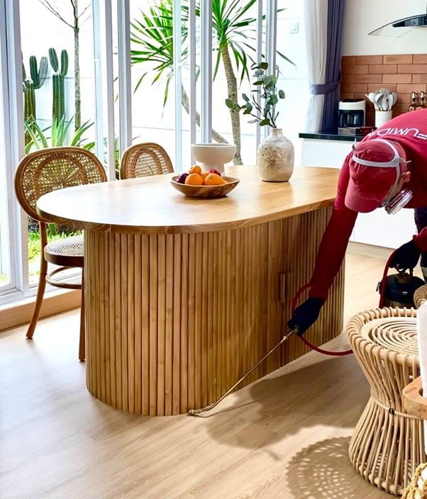 Harga Jasa Anti Rayap Kota Bogor