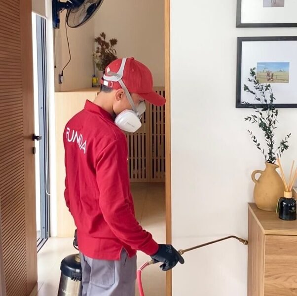 Harga Jasa Anti Rayap Kota Serang