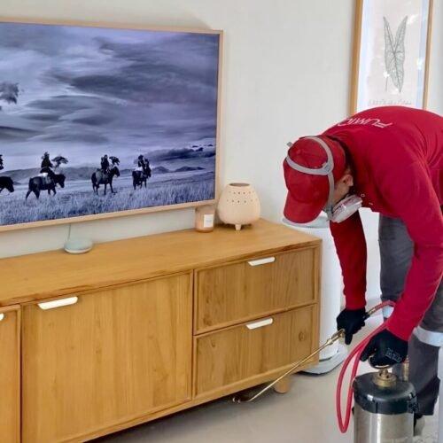 Harga Jasa Anti Rayap Kota Tasikmalaya