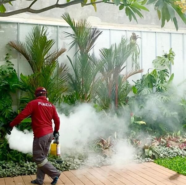 Harga Jasa Anti Rayap Lebak