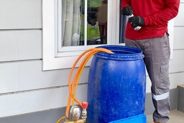 Harga Jasa Anti Rayap Pandeglang