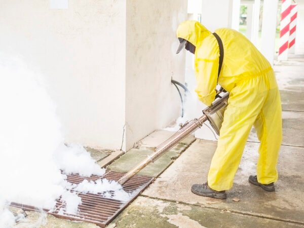 Harga Jasa Anti Rayap Sukabumi