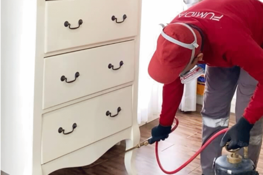 Harga jasa anti rayap garut