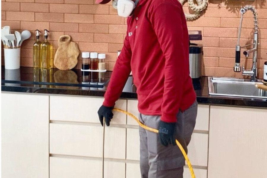 Harga jasa anti rayap kota cirebon